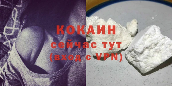 соль ск Надым