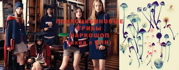 соль ск Надым