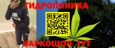 гашик Конаково