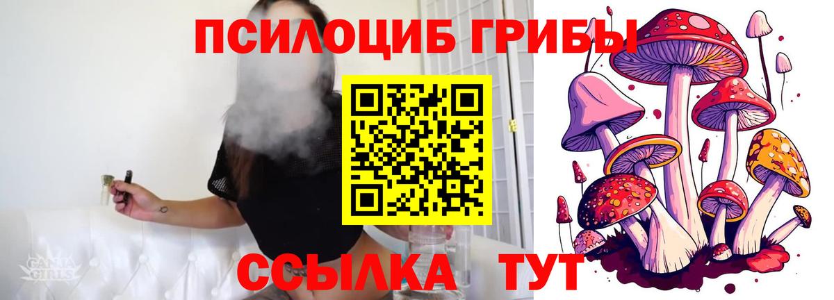 Янаул  Псилоцибиновые грибы GOLDEN TEACHER  Вход с VPN  Галлюциногенные грибы MAGIC MUSHROOMS 